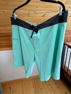 Patagonia Mint Green Board Shorts with Black Waistband